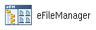 Desktop icon for eFileManager